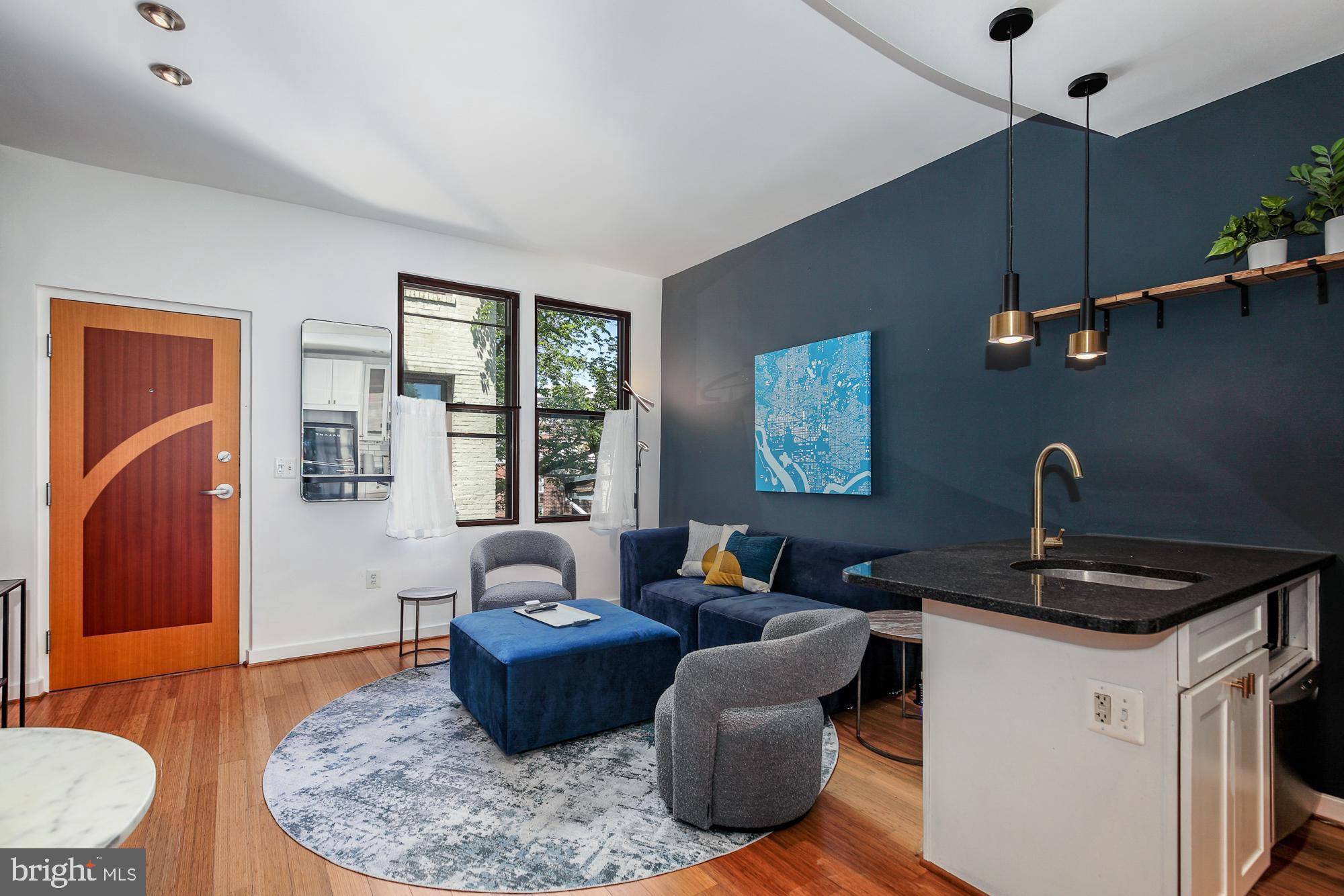 116 N Carolina Ave SE #302