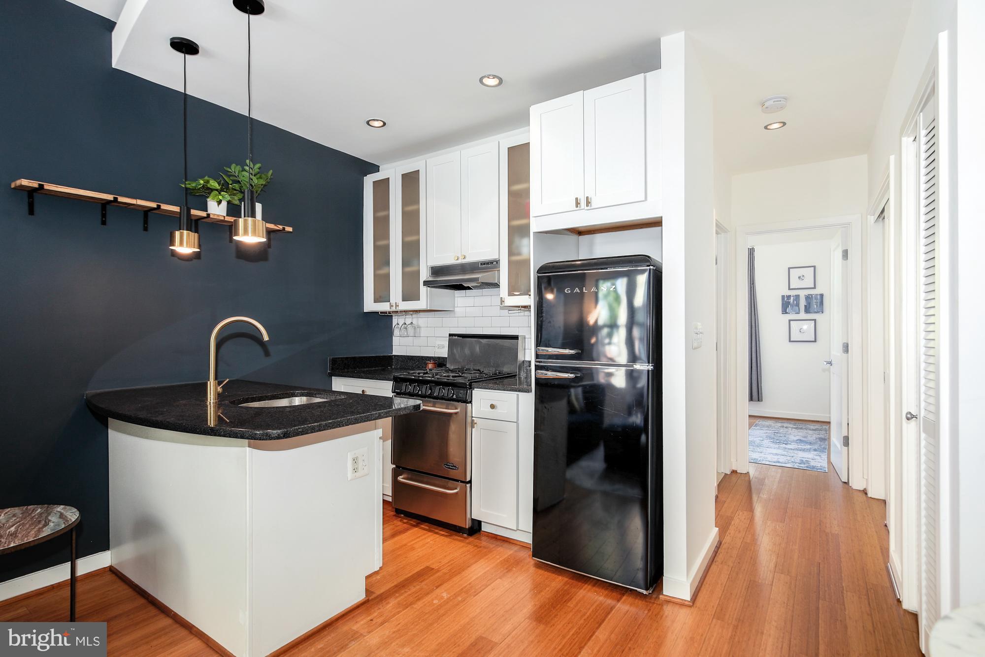 116 N Carolina Ave SE #302