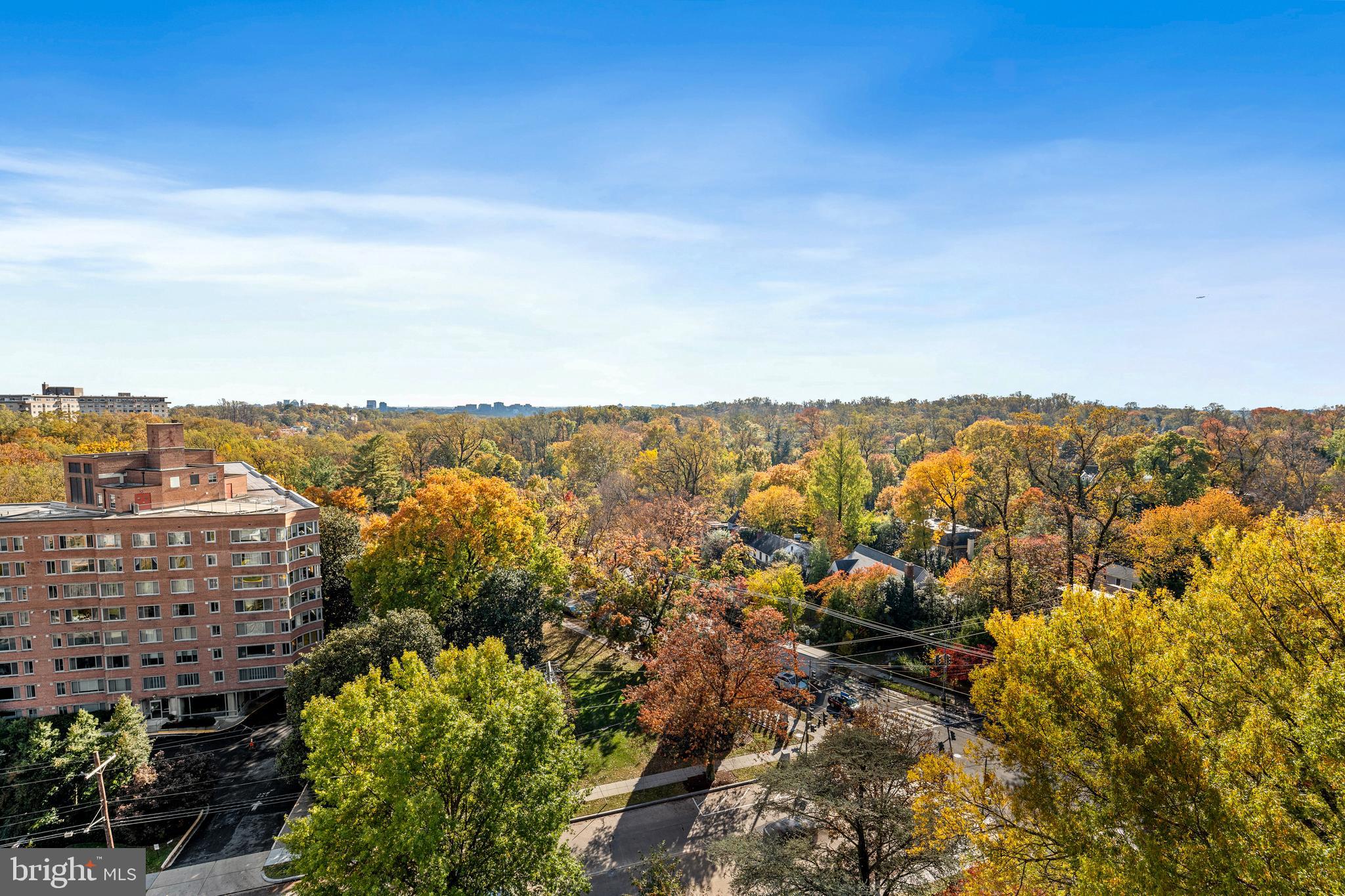 4201 CATHEDRAL AVENUE NW 1415W