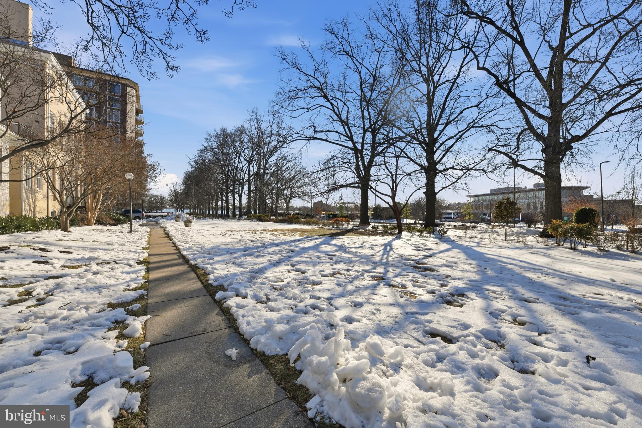 1245 4TH STREET SW E805