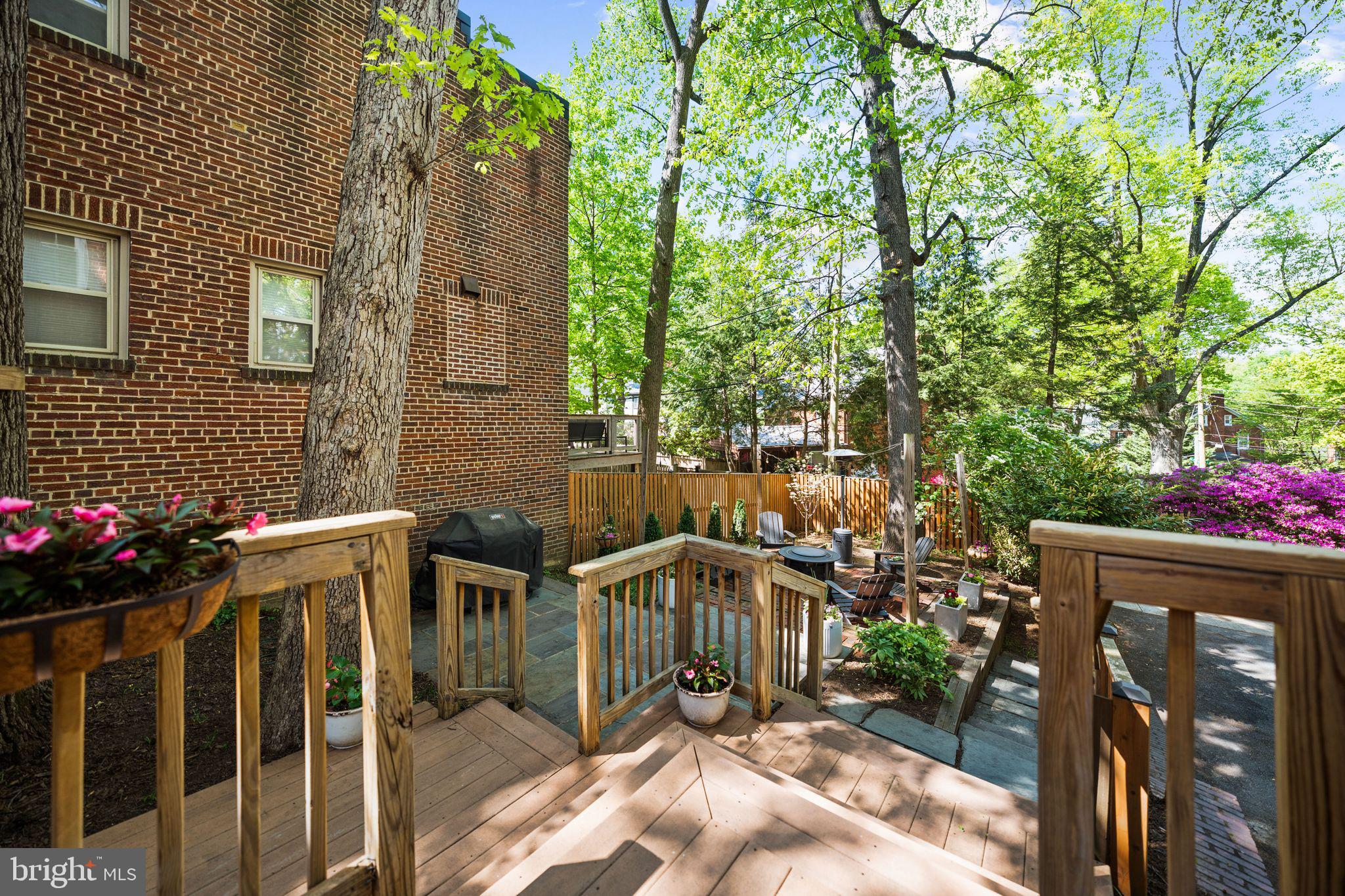 3701 JOCELYN STREET NW