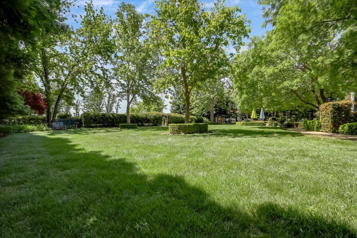 685 Saddleback Drive