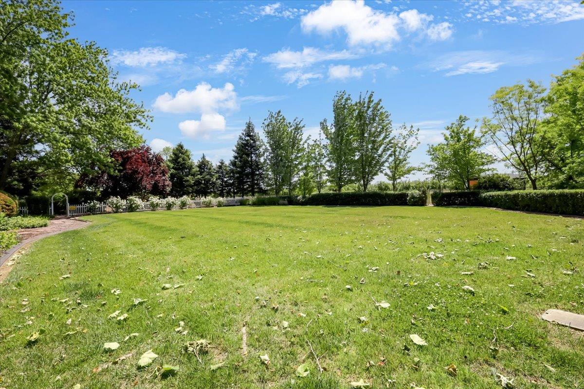 685 Saddleback Drive