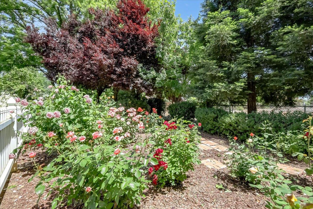 685 Saddleback Drive