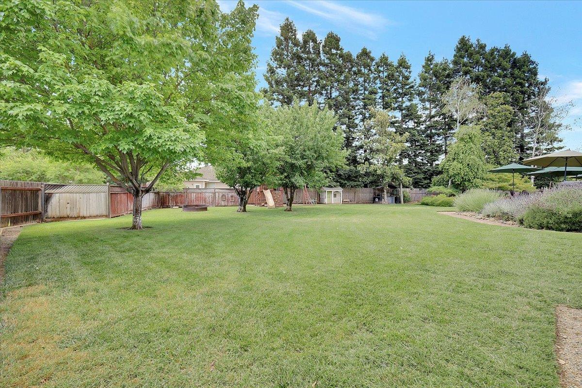 614 Saddleback Drive