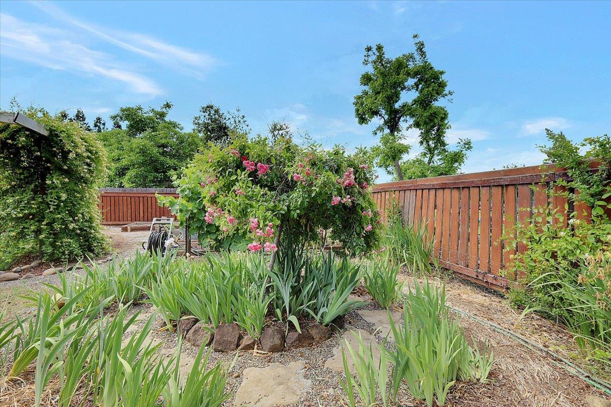 614 Saddleback Drive