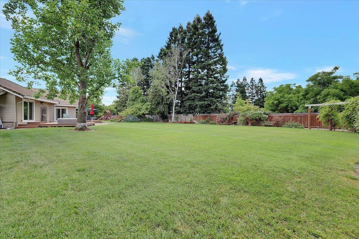 614 Saddleback Drive