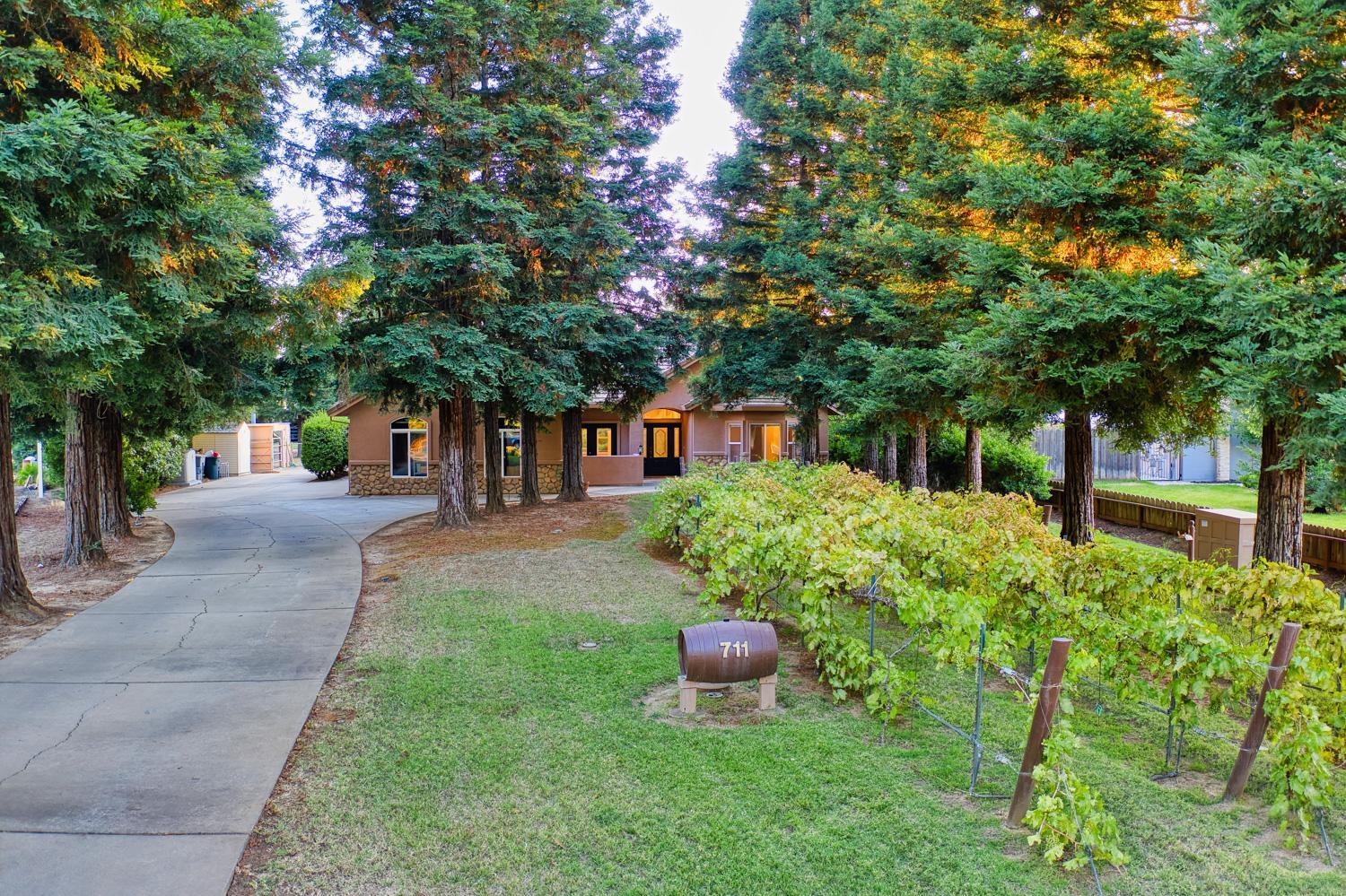 711 Saddleback Drive