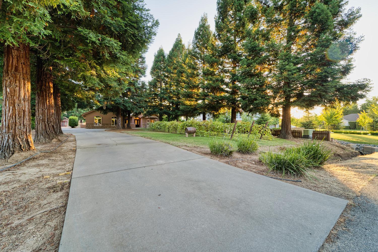 711 Saddleback Drive