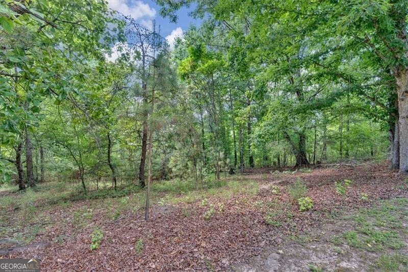 1355 White Road