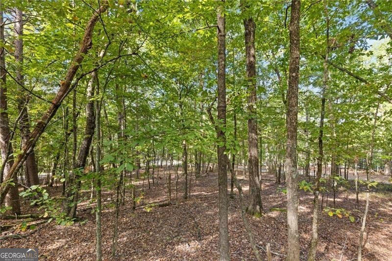 722 Yonah Mountain Road