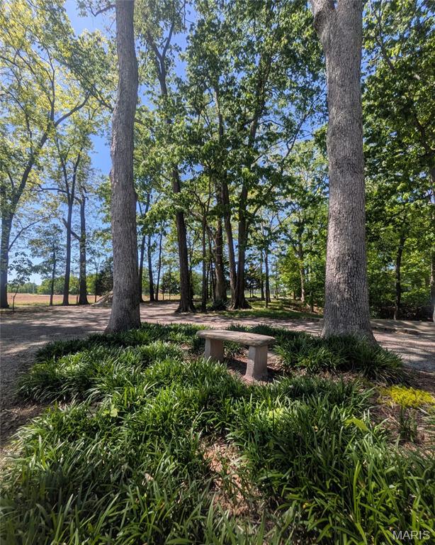 1565 Centerville Road
