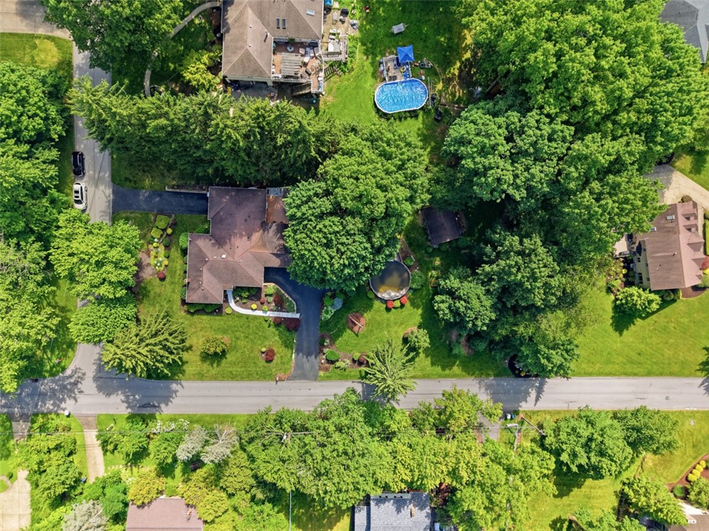 111 Cedar Dr