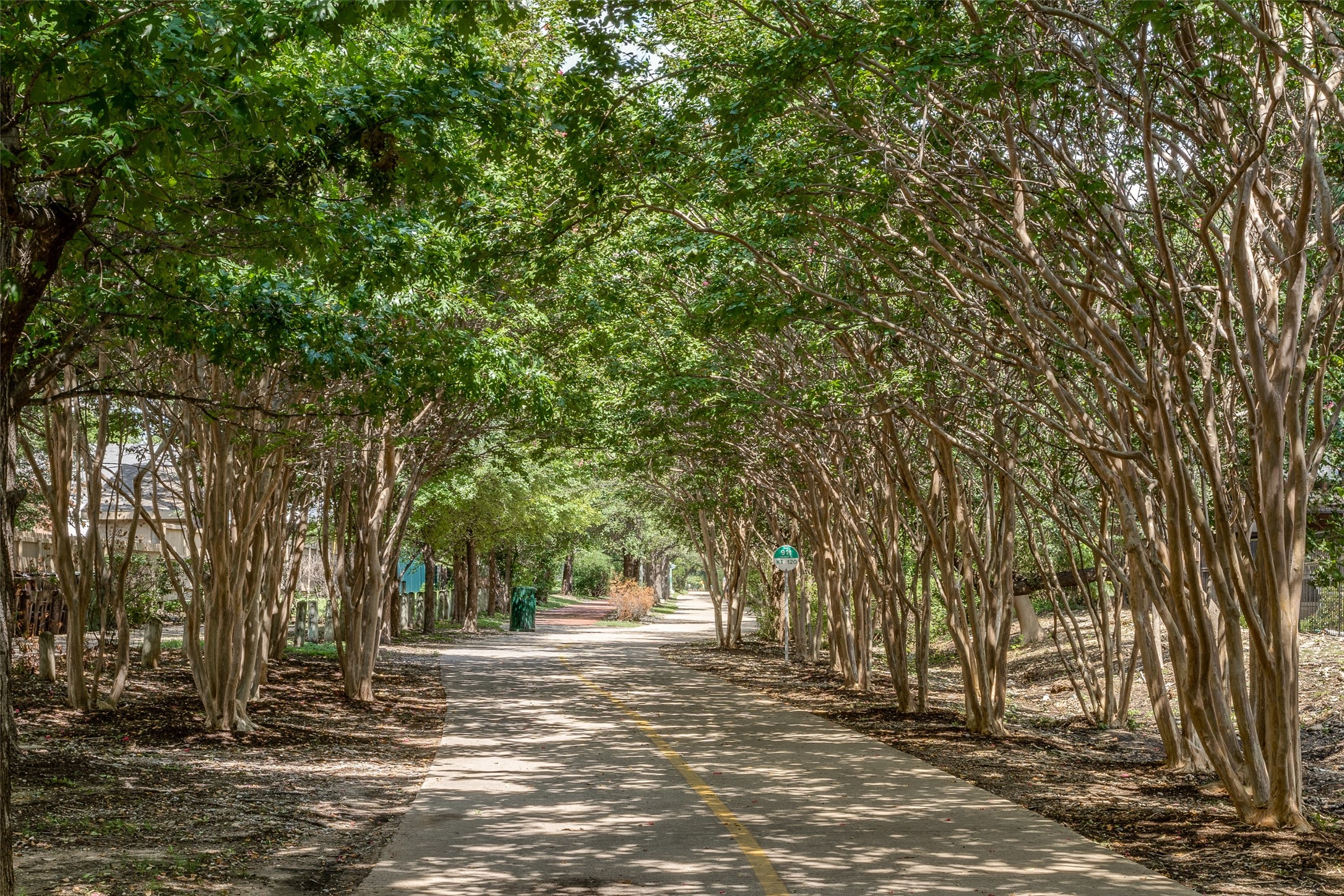 4611 Travis Street 809A