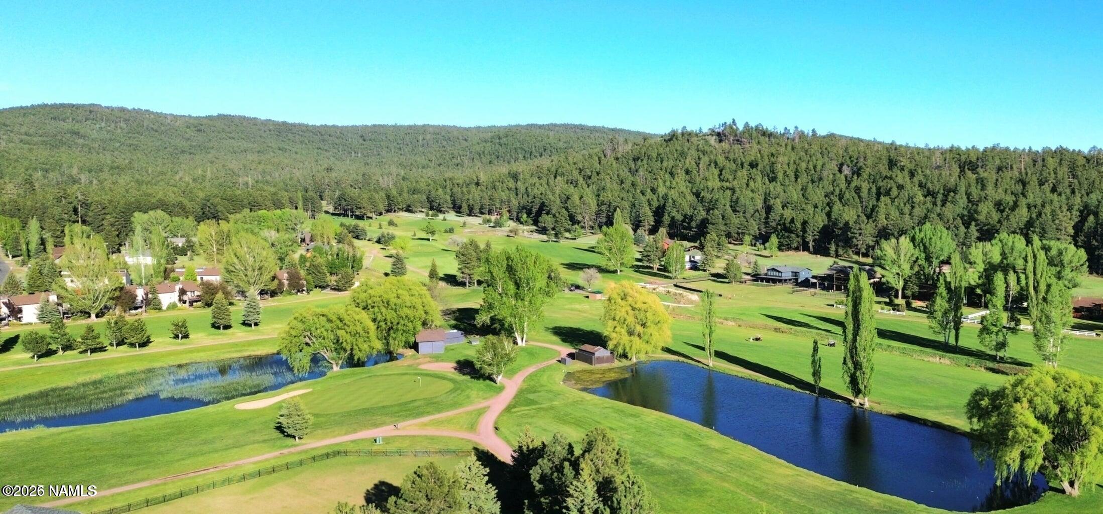 710 E Trout Creek Road