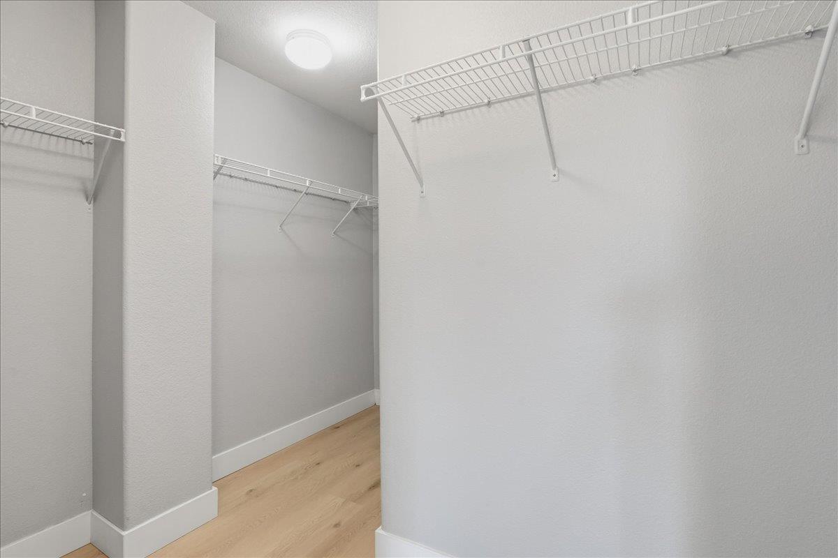 589 Plum Creek Court