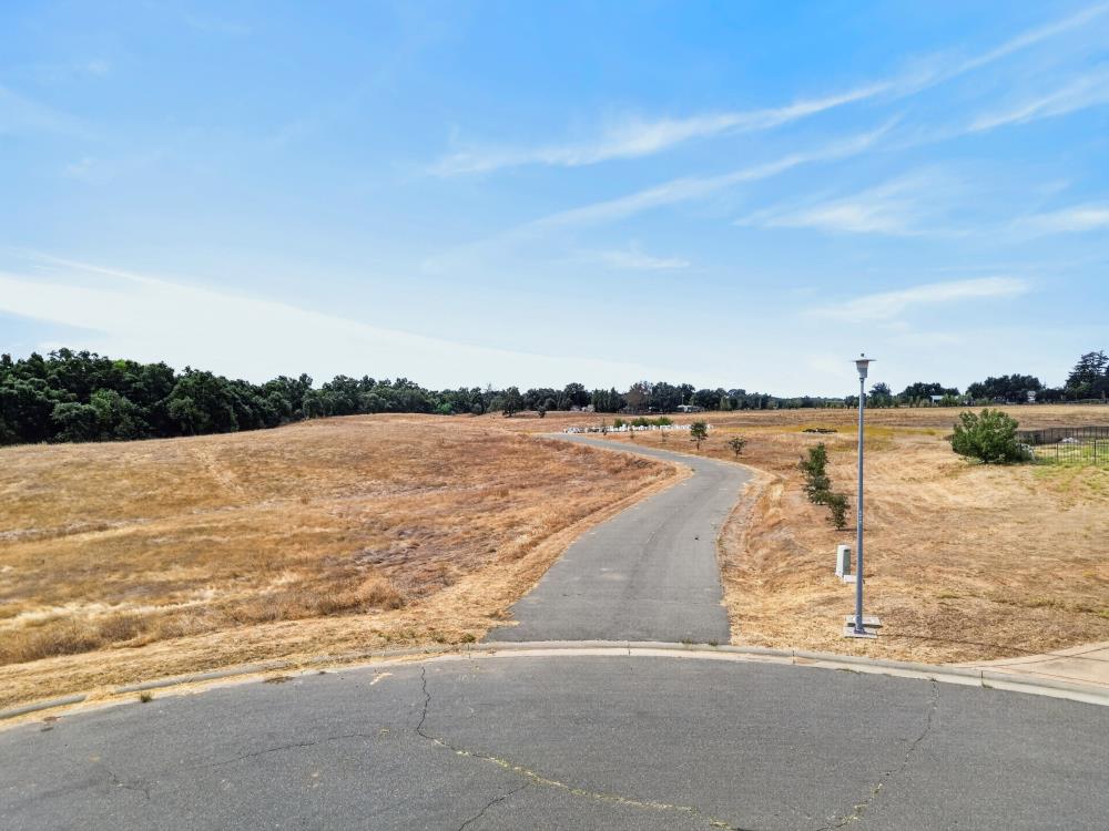 Dry open land with a paved path curving toward a distant tree line.