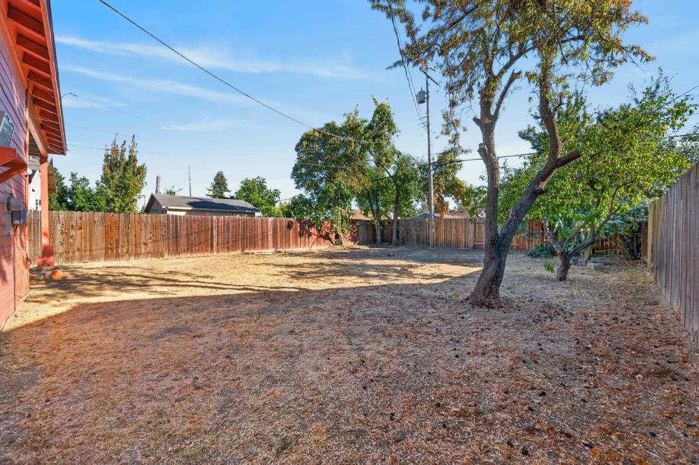 Fenced backyard with mature trees, dry ground, and the side of the house.
