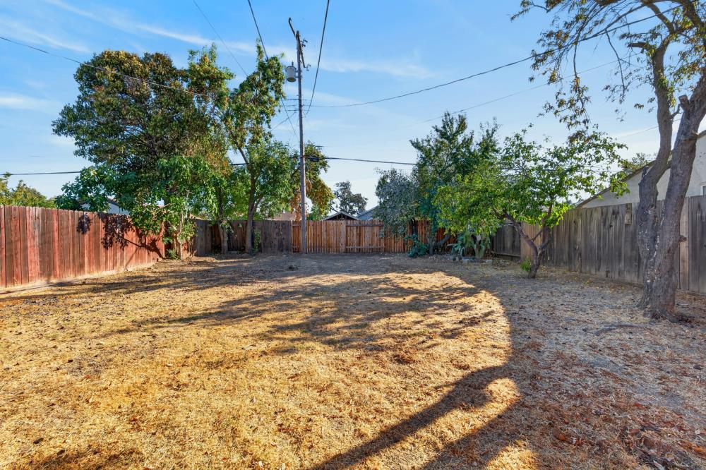 Backyard with dry grass, mature trees, and wooden fencing.