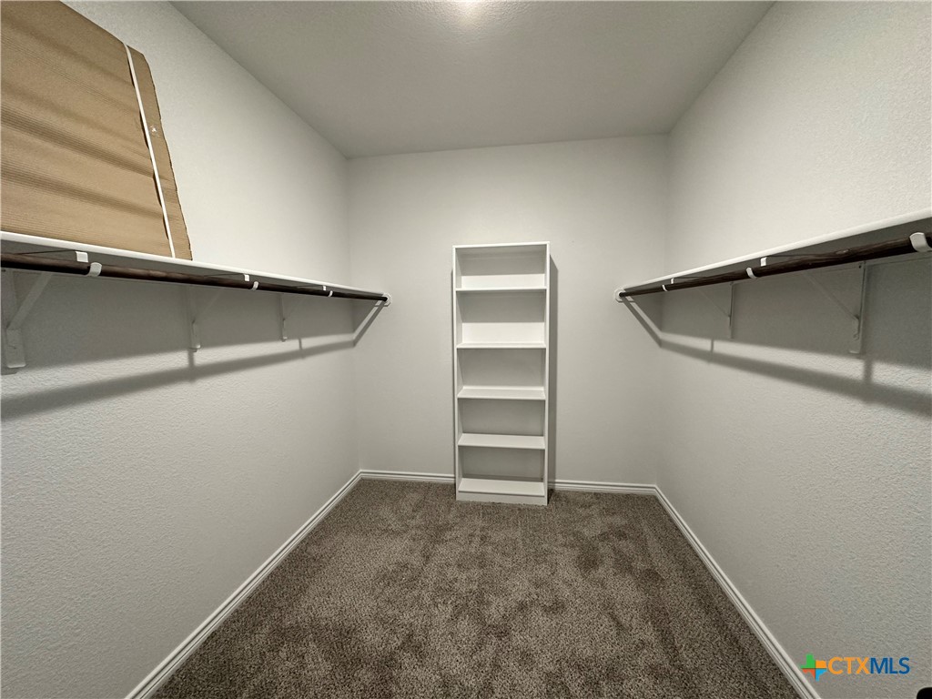 3009 Hedwig Street