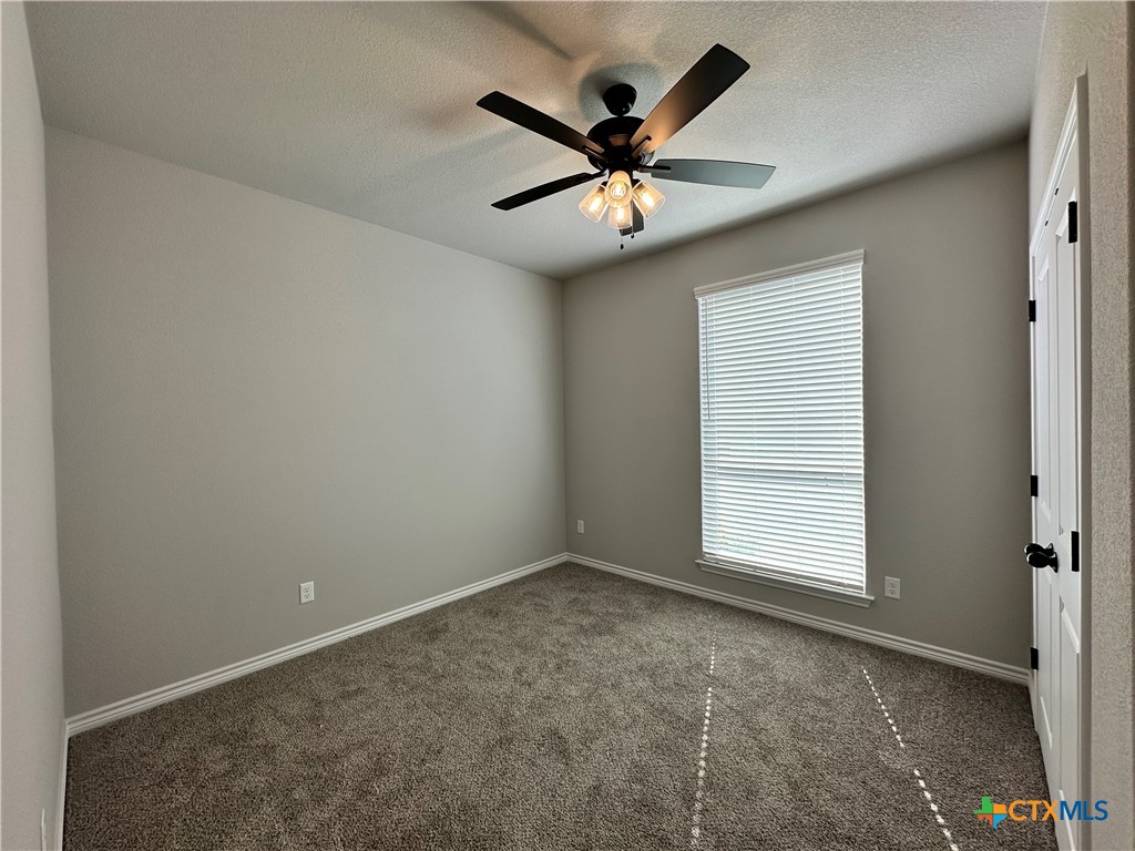 3009 Hedwig Street