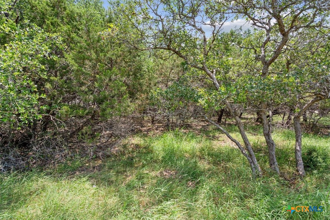 5141 Comanche Drive