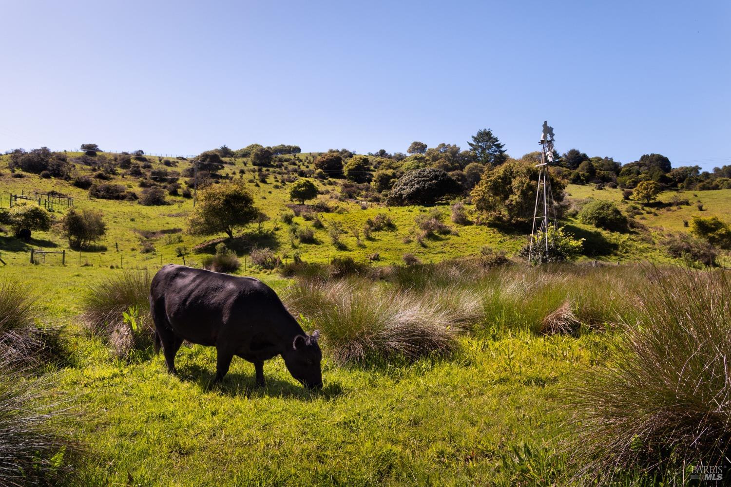 605 Horseshoe Hill Rd