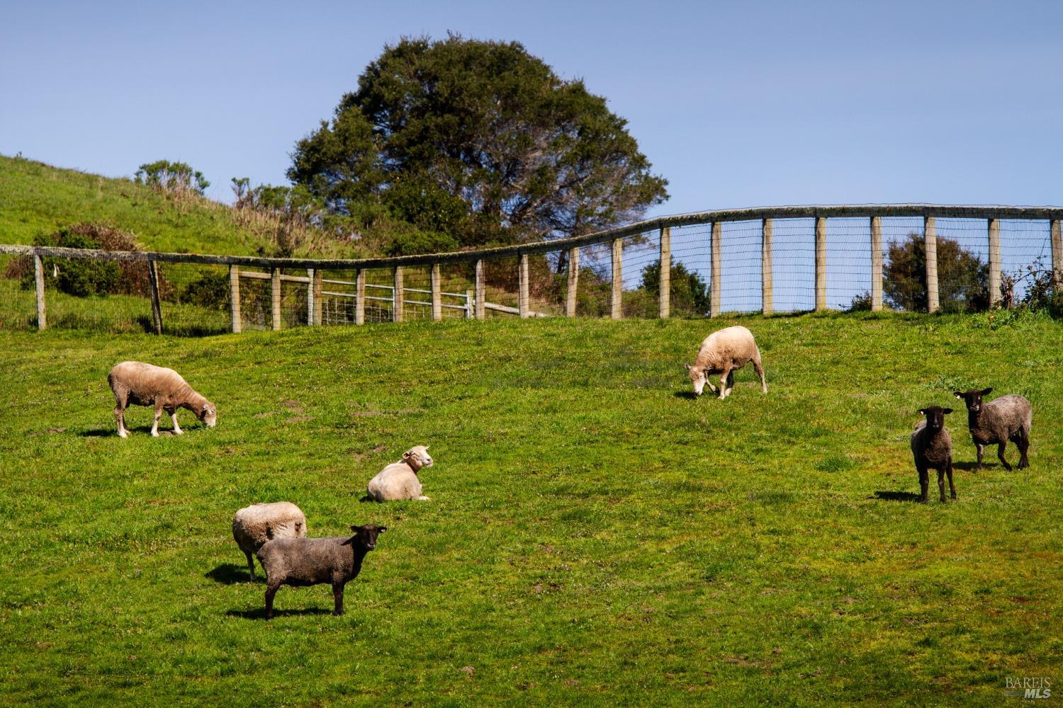 605 Horseshoe Hill Rd