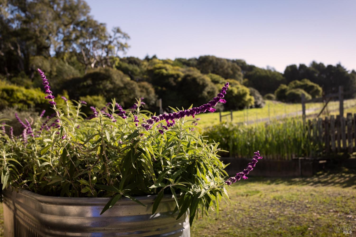 605 Horseshoe Hill Rd