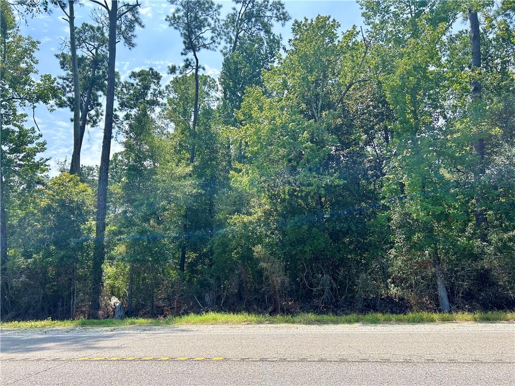 HWY 190 (MAIN ST.) Highway