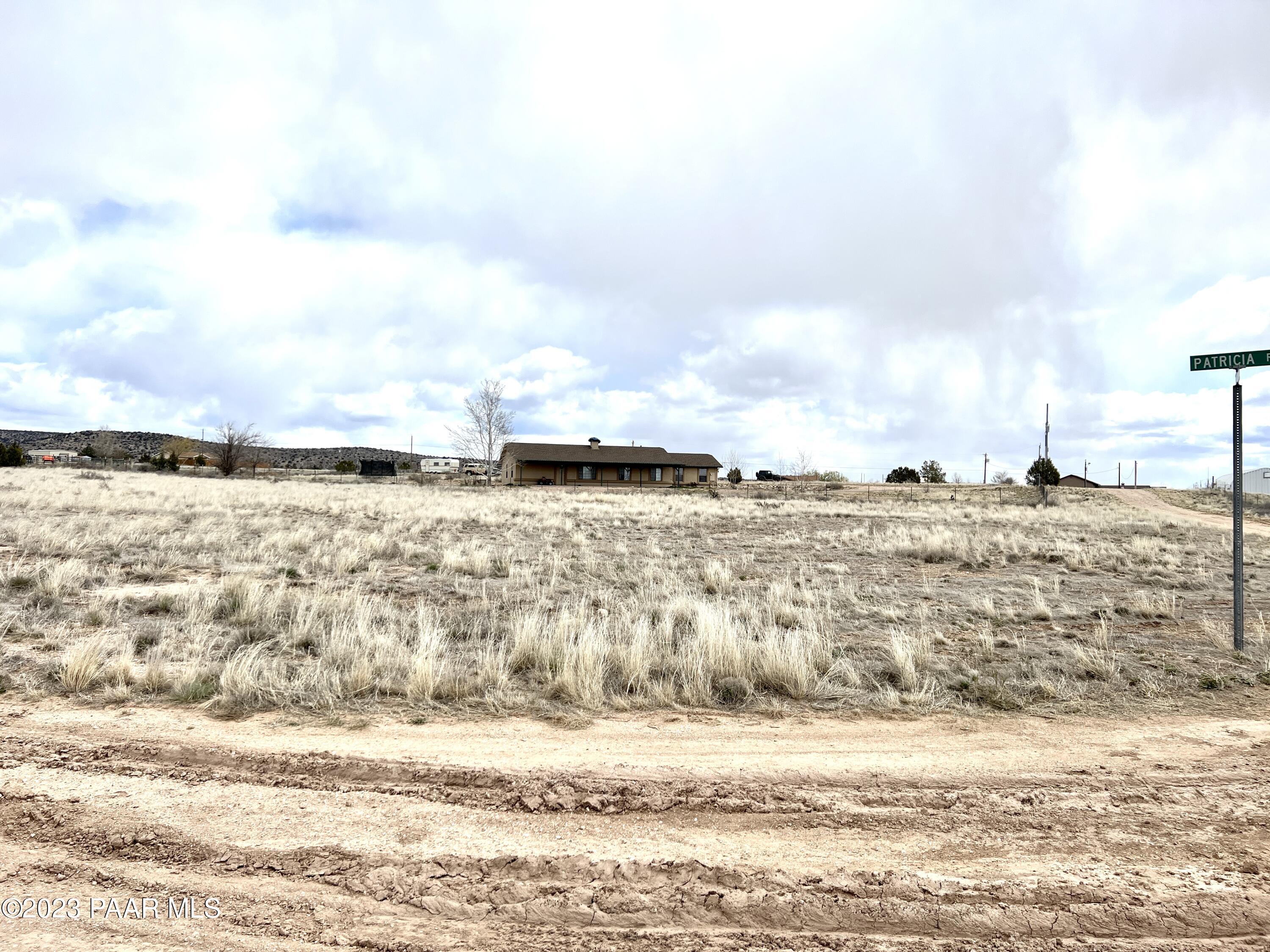 25725 N Patricia Road