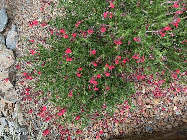 7554 E Circle Wagons Way