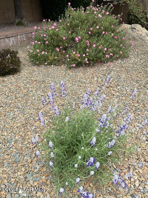 7554 E Circle Wagons Way