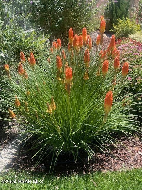 7554 E Circle Wagons Way