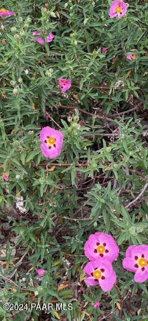 7554 E Circle Wagons Way