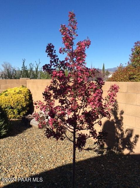 7554 E Circle Wagons Way