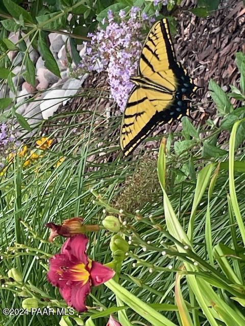 7554 E Circle Wagons Way