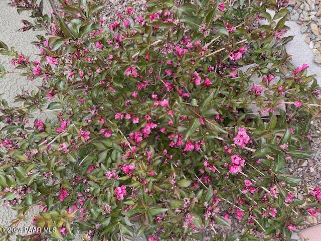 7554 E Circle Wagons Way