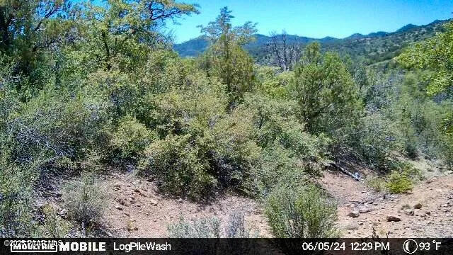 5101 W Iron Springs Road