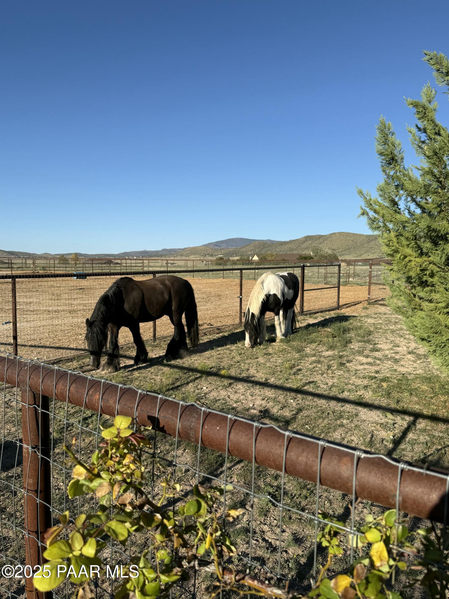 8833 N Grass Valley Lane