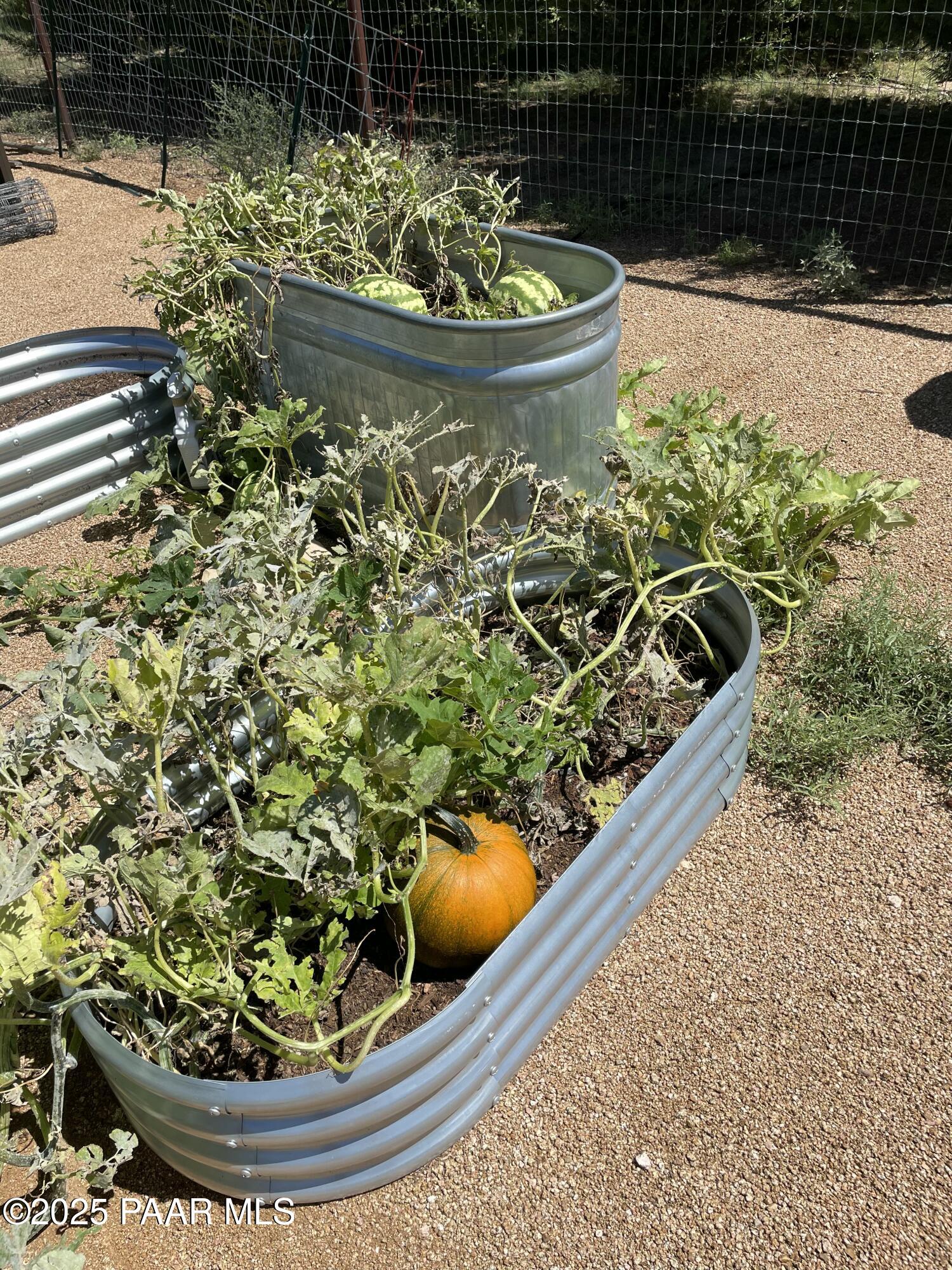 8833 N Grass Valley Lane