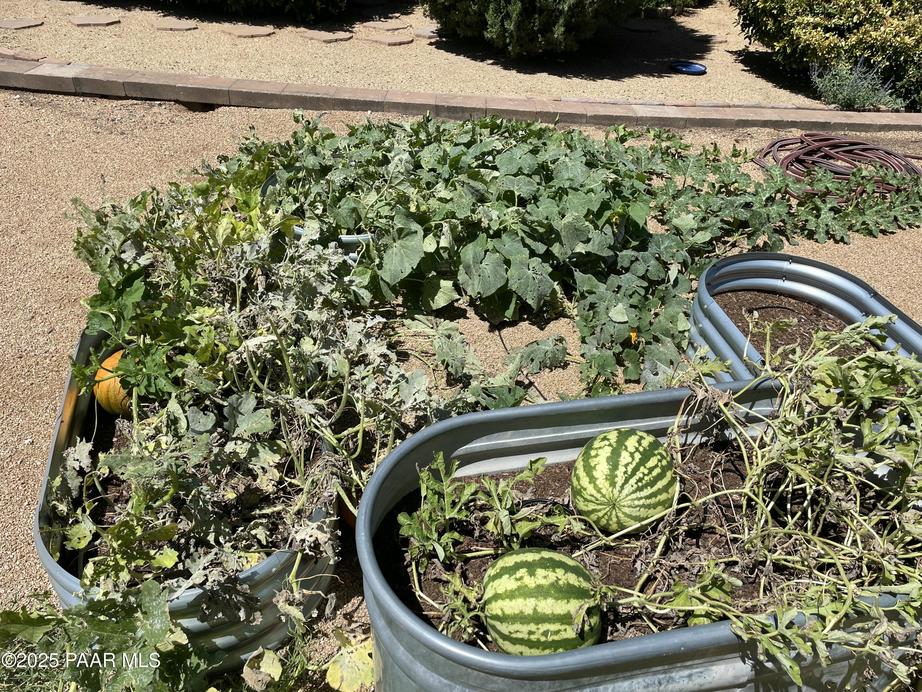 8833 N Grass Valley Lane