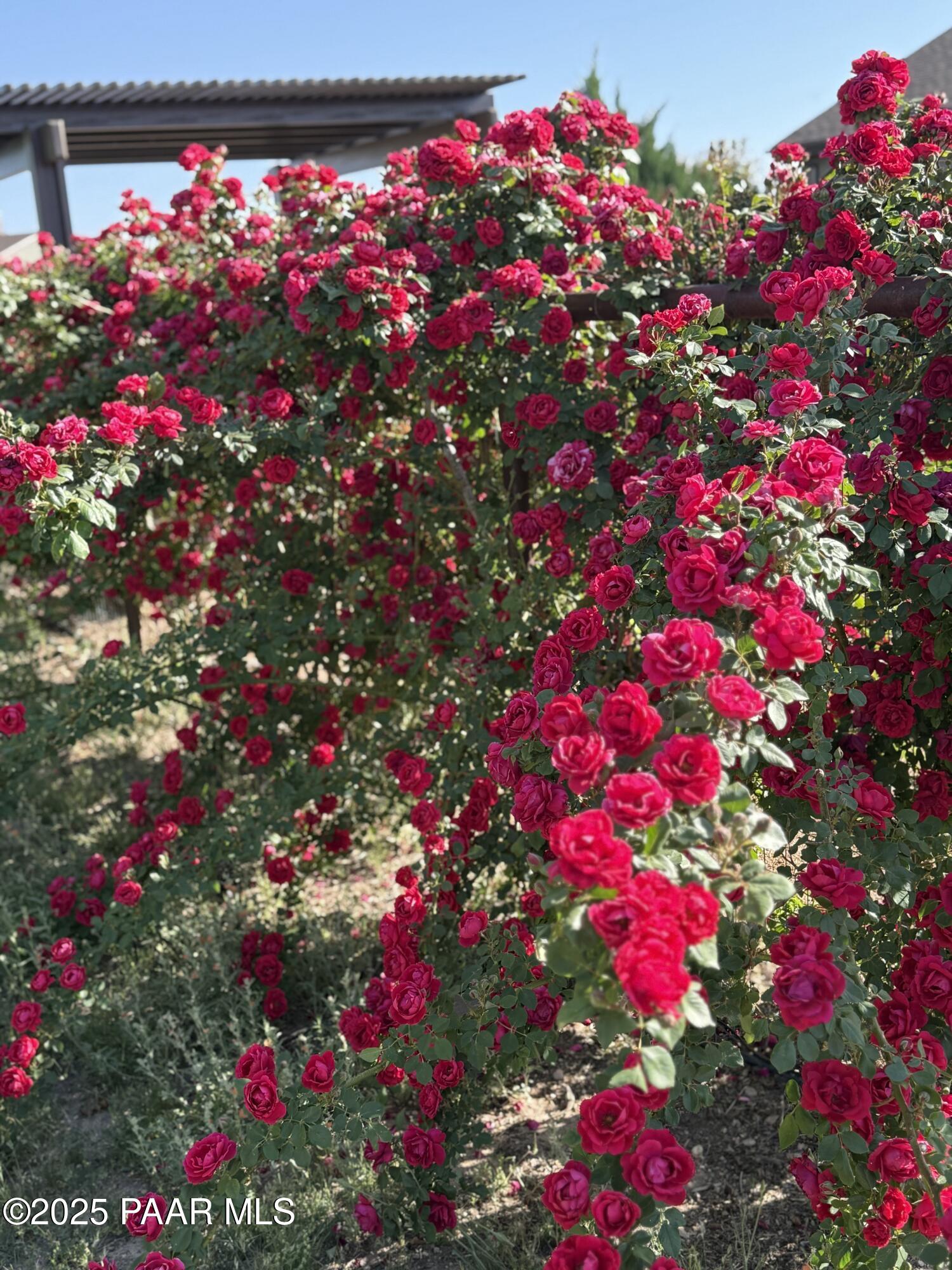 8833 N Grass Valley Lane