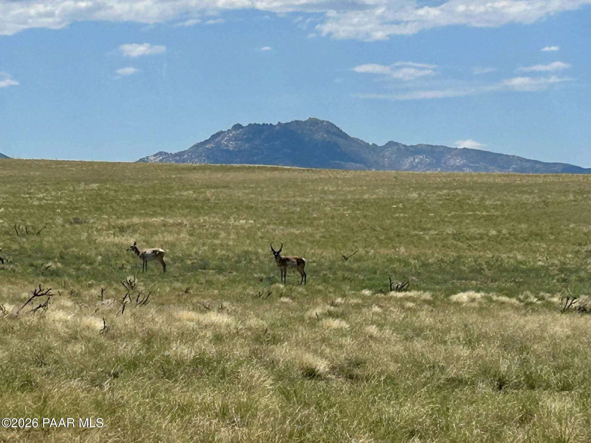 42c Barrel Mesa Road