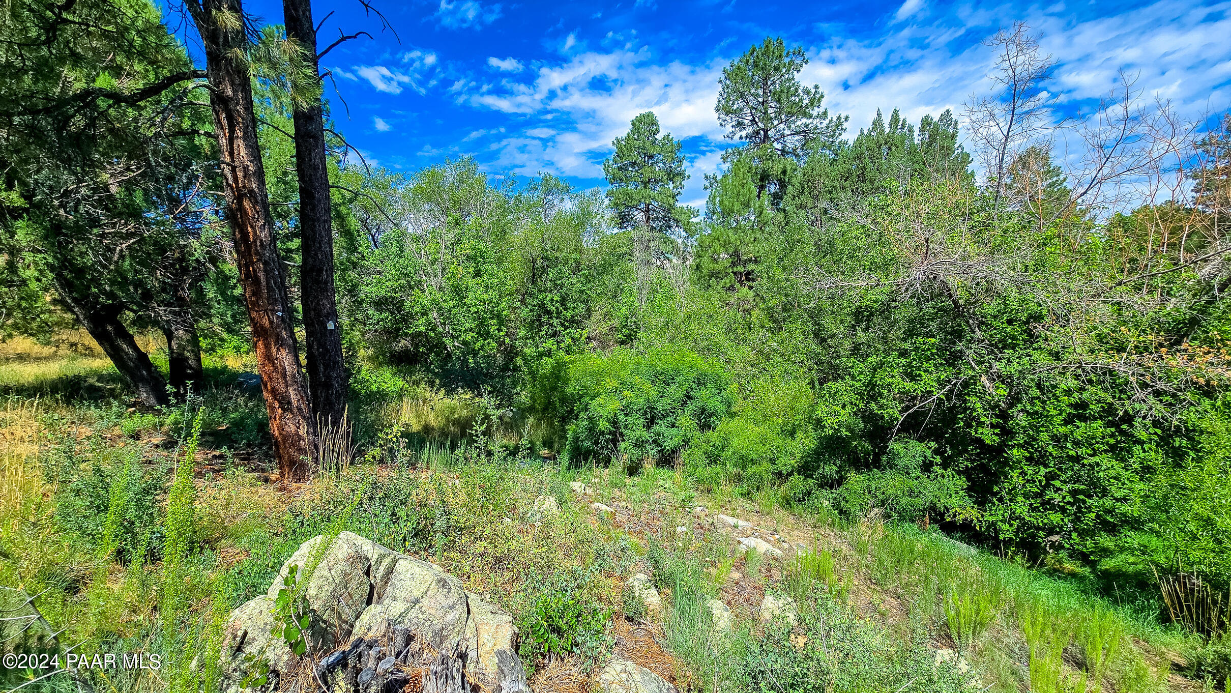 736 Crosscreek Drive