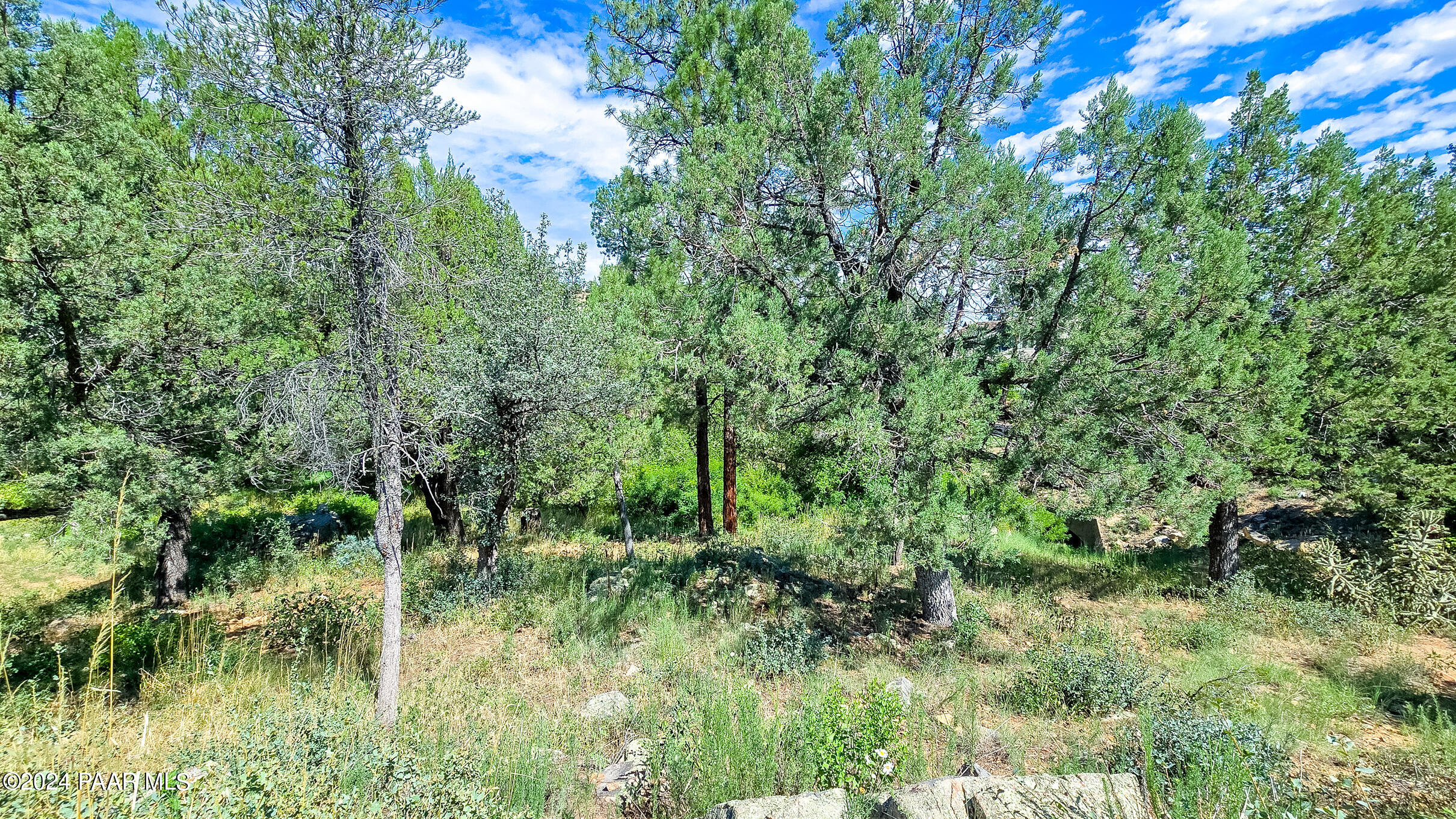736 Crosscreek Drive