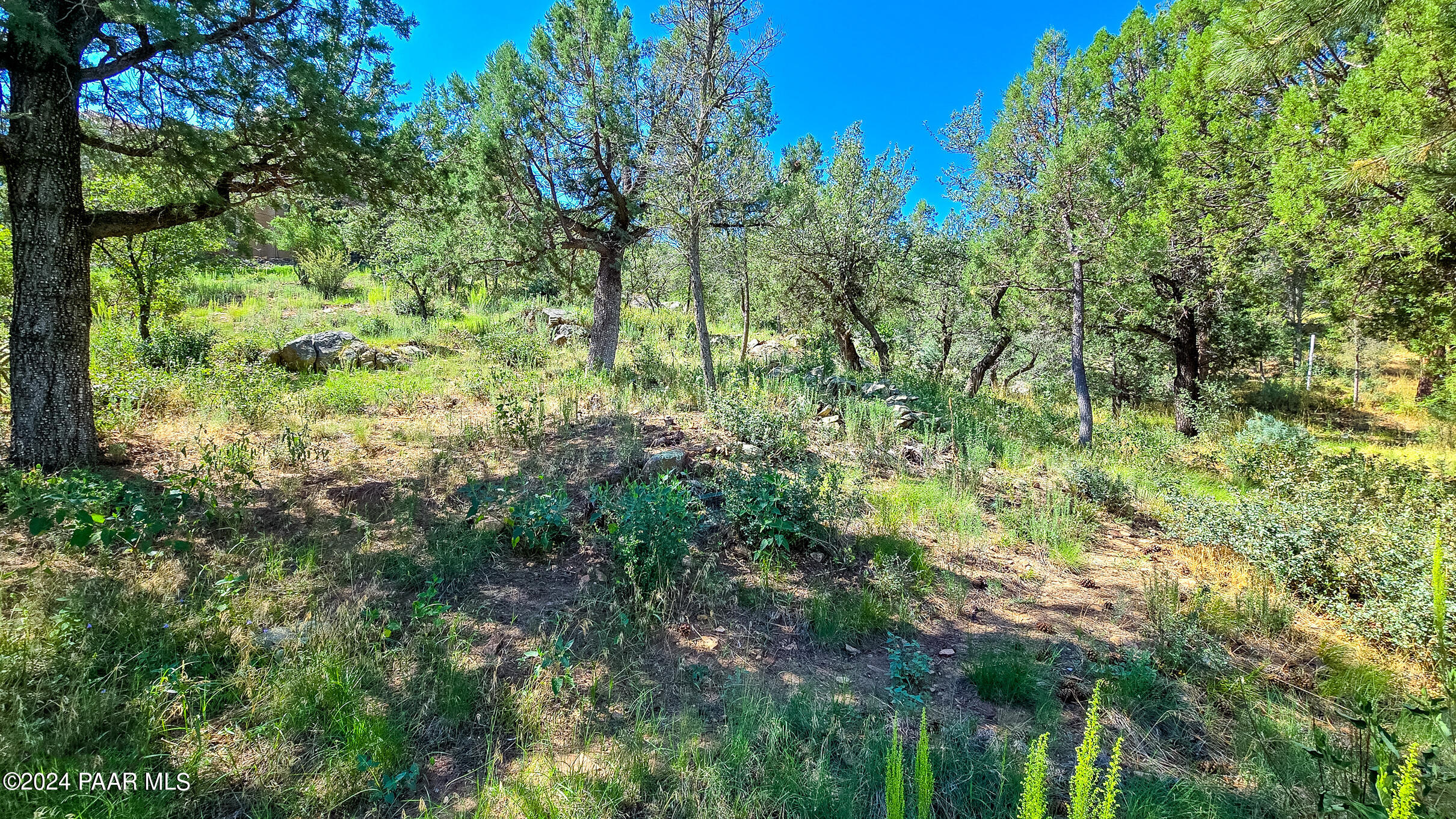 736 Crosscreek Drive