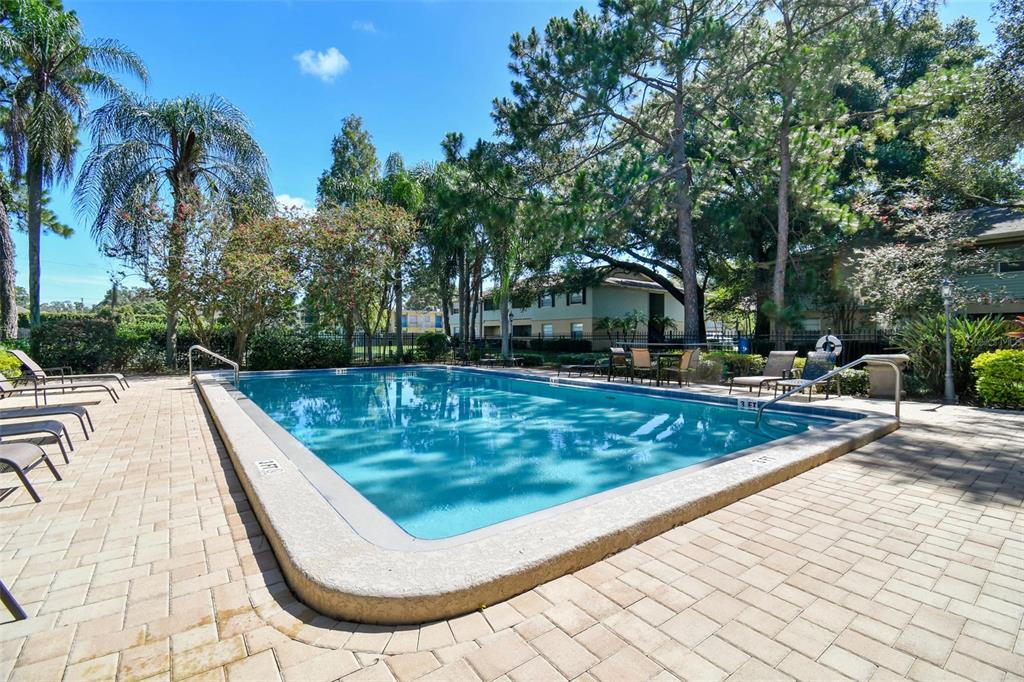 Community swimming pool with a paver deck, lounge chairs, and mature palm and pine trees.