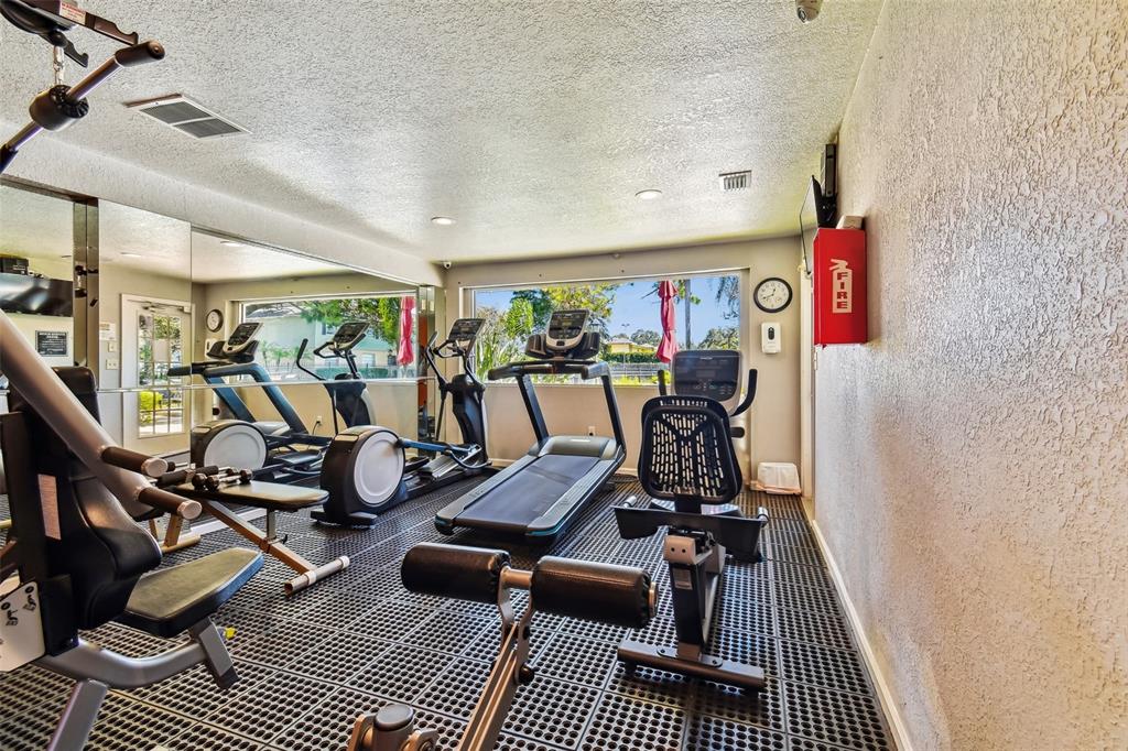Fitness room with treadmills and weight equipment beside large windows.