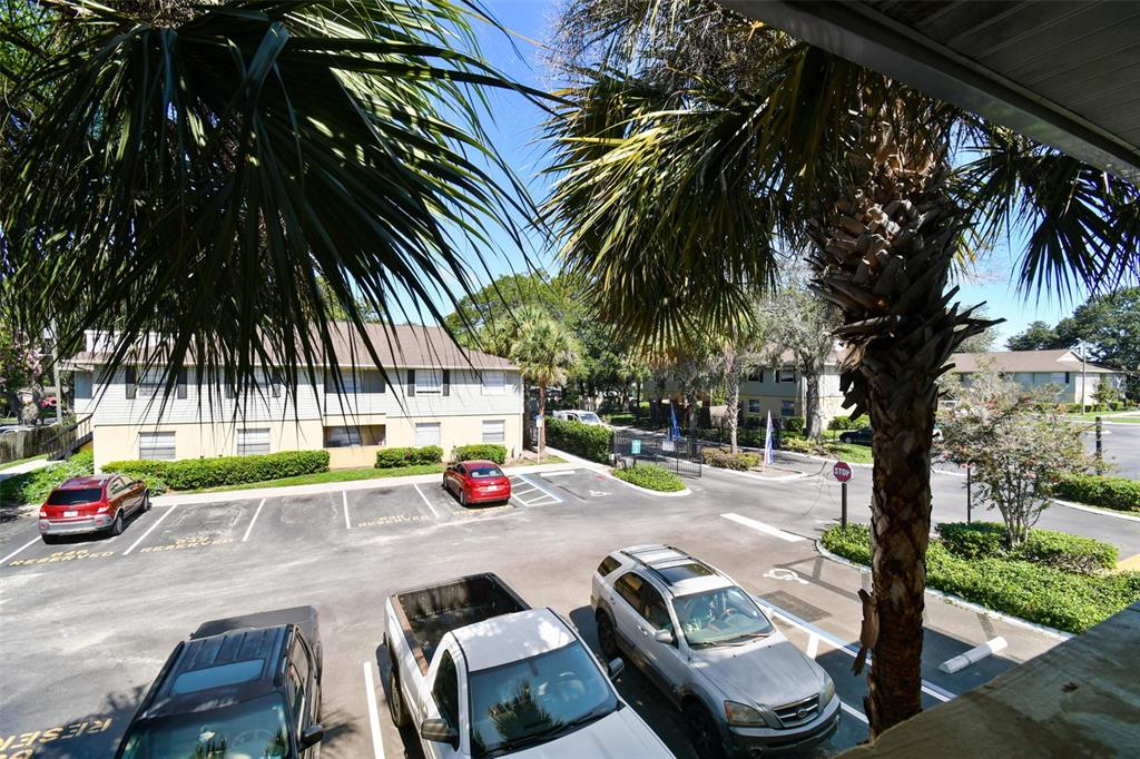 Condominium parking lot framed by palm trees, with parked cars and low-rise buildings across the lot.
